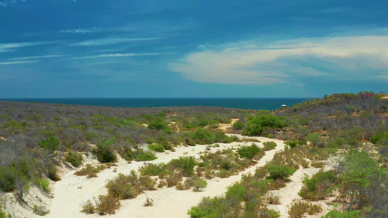 Aerial view in San Jose del Cabo showing pale sand tracks through green and gray shrubs, a dark blue ocean band, bright sky, and no visible people.