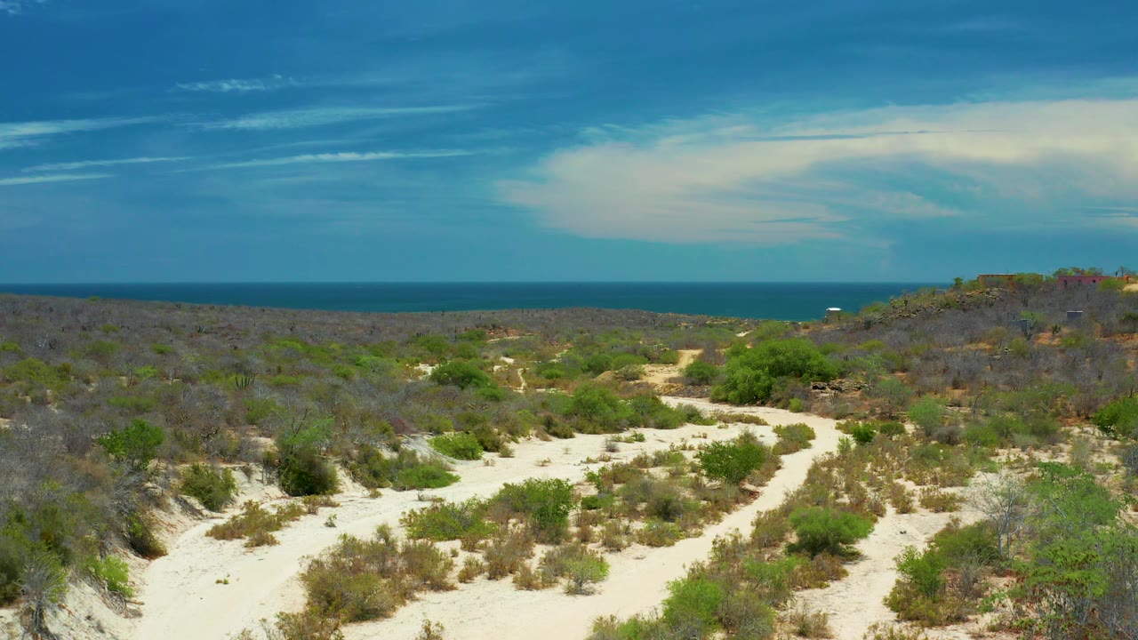 Low scrub and sandy ground stretch toward a blue ocean horizon.