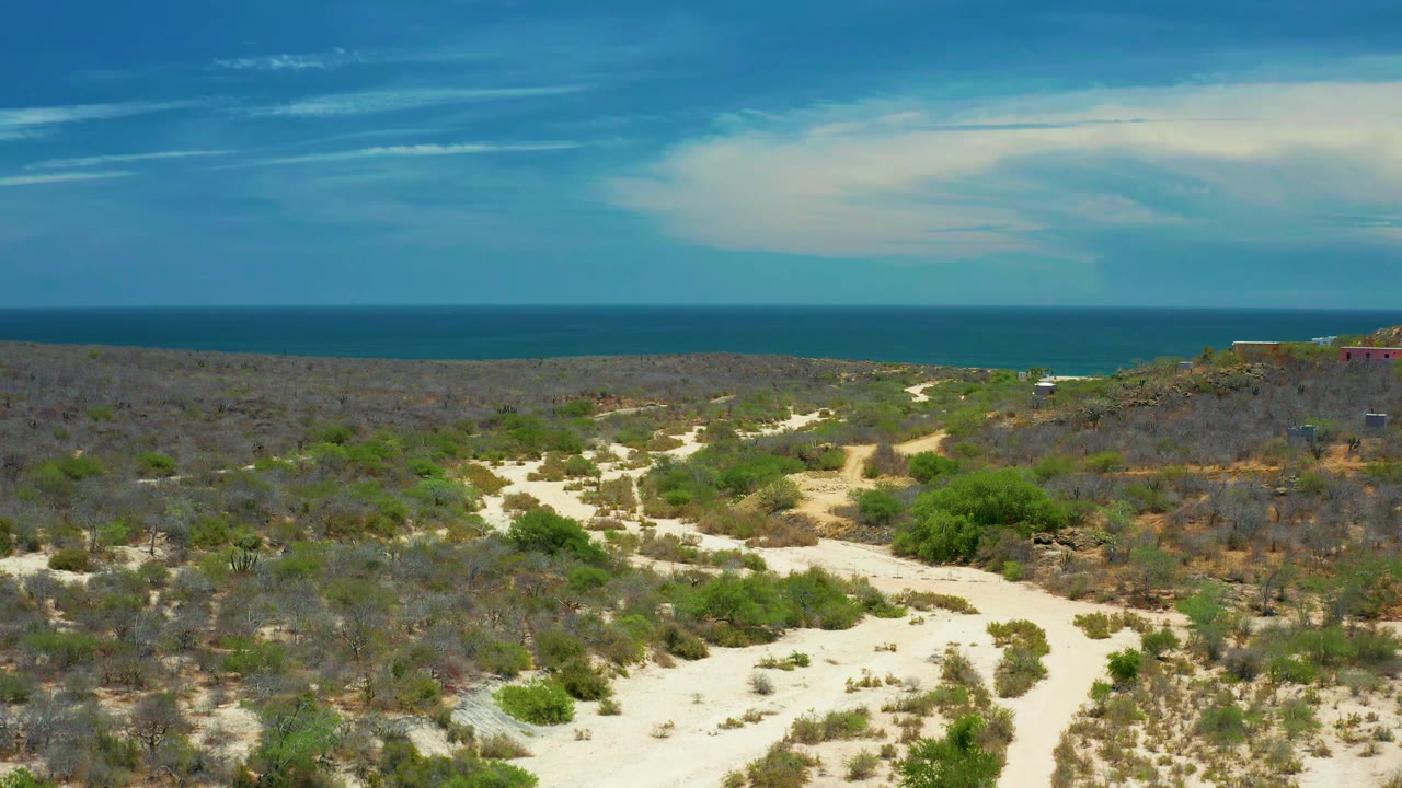 Elevated coastal view in San Jose Del Cabo, Mexico, with sandy tire paths, dry brush, scattered green shrubs, a level blue sea horizon, and no visible people.