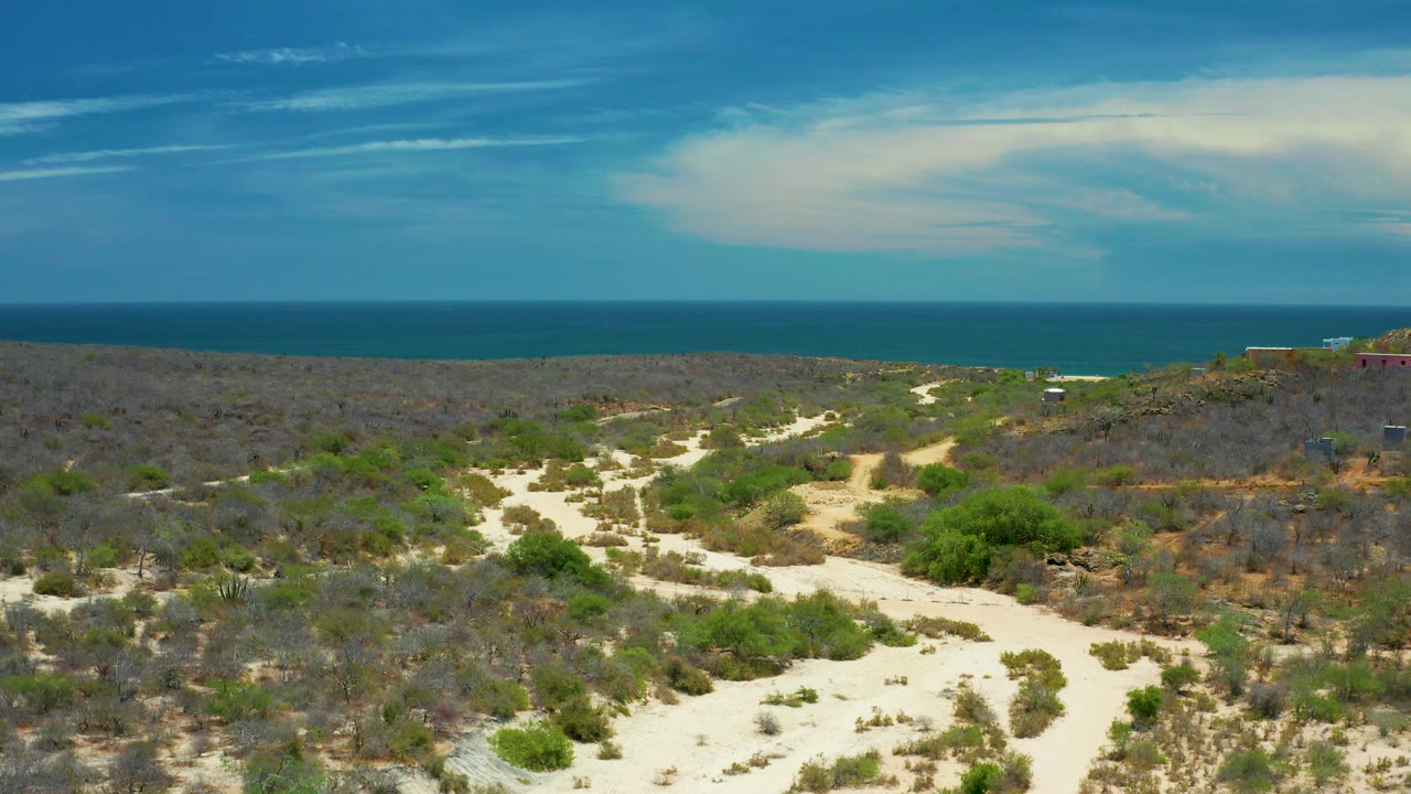 San Jose Del Cabo coastal scrubland fills the frame, with pale dirt tracks running through gray-brown brush toward the blue ocean and no visible people.