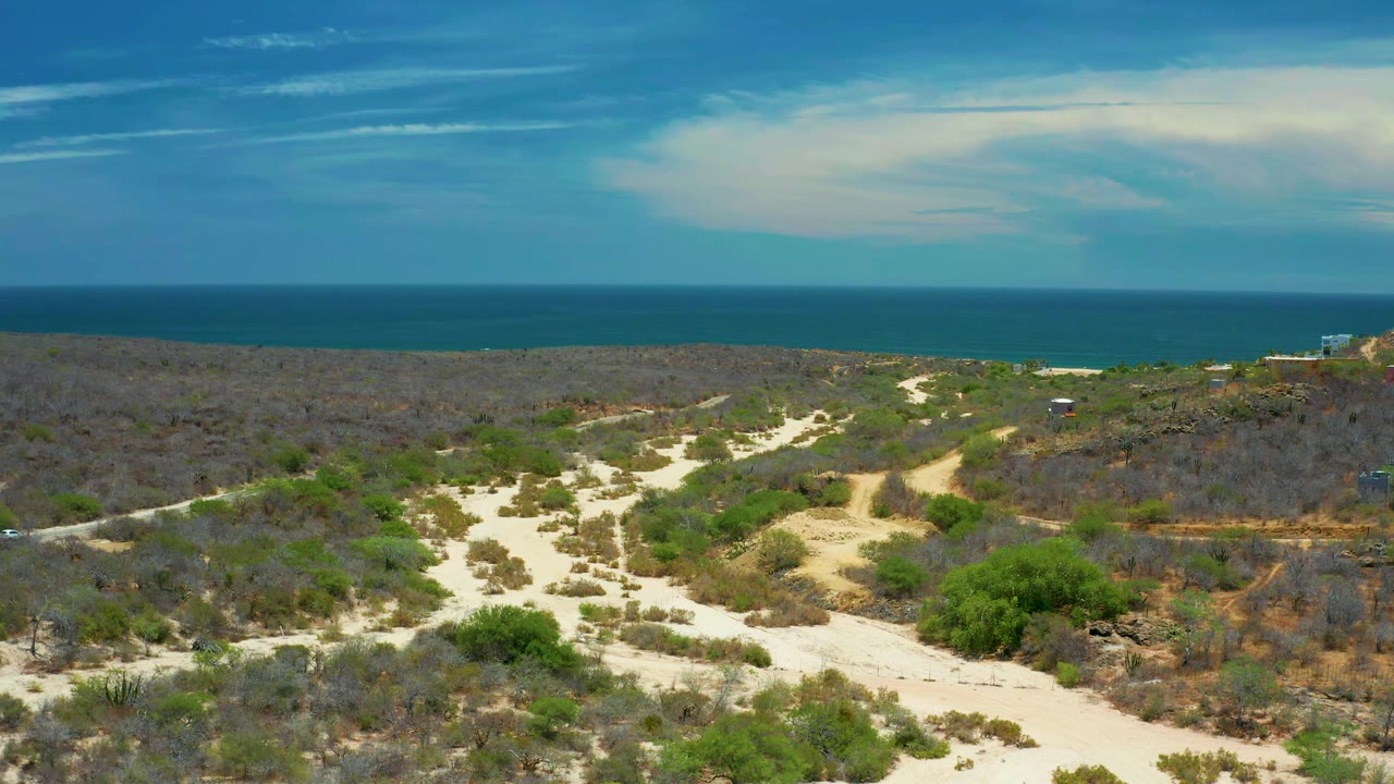 Aerial San Jose Del Cabo frame showing branching pale roads, low green bushes, brown scrubland, and the blue ocean band beyond, with no visible people.