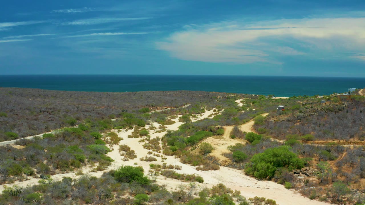 Wide elevated view in San Jose Del Cabo with pale road cuts through scrubland, denser green bushes near the lower edge, blue ocean beyond, and no visible people.
