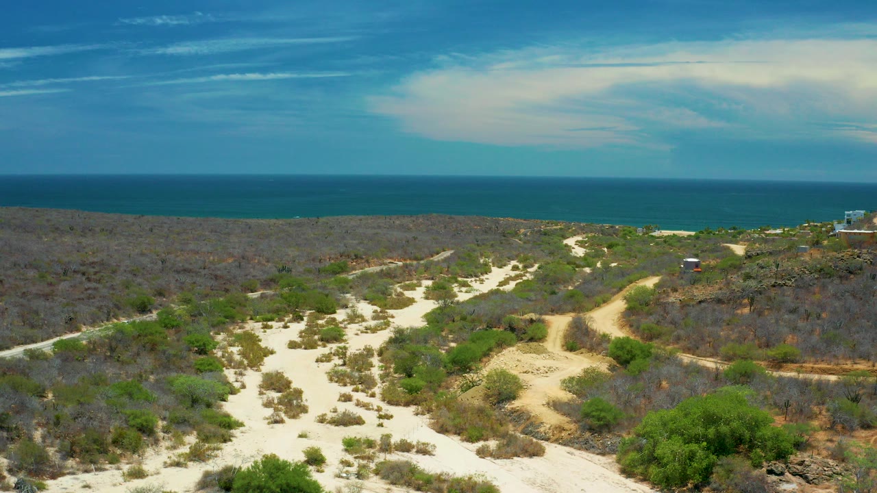 Elevated view in San Jose del Cabo, Mexico, showing pale sandy trails through dry scrubland, green bushes in the foreground, blue water on the horizon, and no visible people.