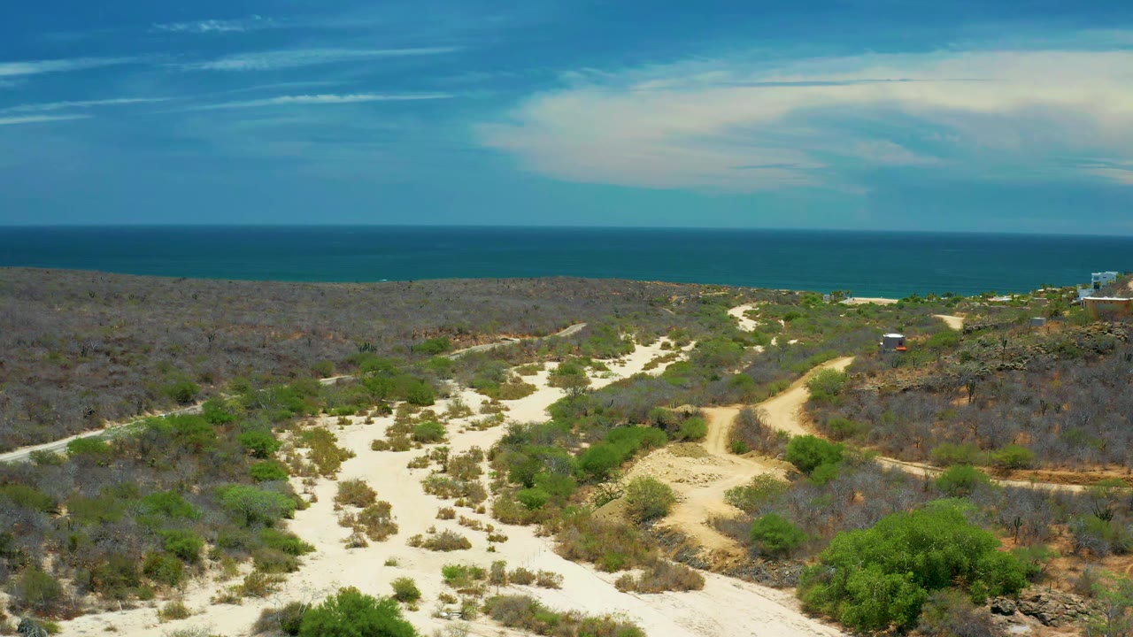 San Jose del Cabo coastal terrain fills the frame with winding dirt tracks, scattered shrubs, darker brush, a level blue water horizon, and no visible people.