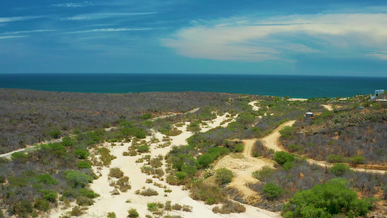 Dry coastal brush and sand trails under a broad blue sky.