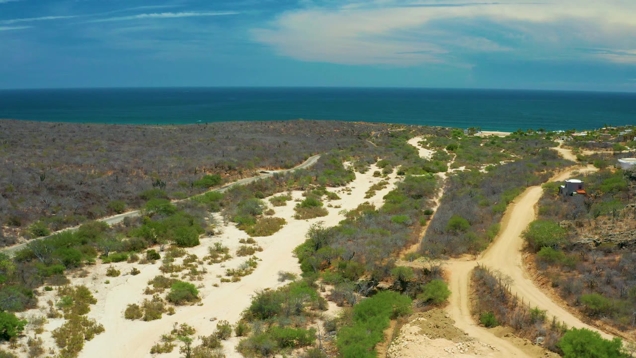 Aerial frame over San Jose Del Cabo scrubland with branching pale tracks, a main tan road on the right, dark brush areas, ocean beyond, and no visible people.