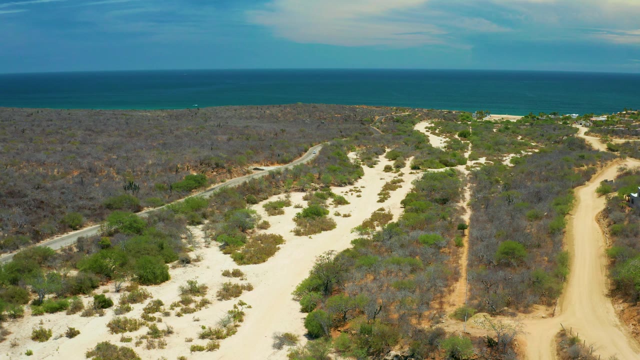 Aerial frame from San Jose del Cabo with sandy paths cutting through scrub, a curving road along the left side, deep blue water in the background, and no visible people.