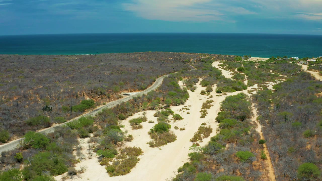 Aerial view in San Jose del Cabo, Mexico, showing sandy tracks curving through scrub brush, a diagonal road at left, darker dry vegetation on both sides, ocean at the horizon, and no visible people.