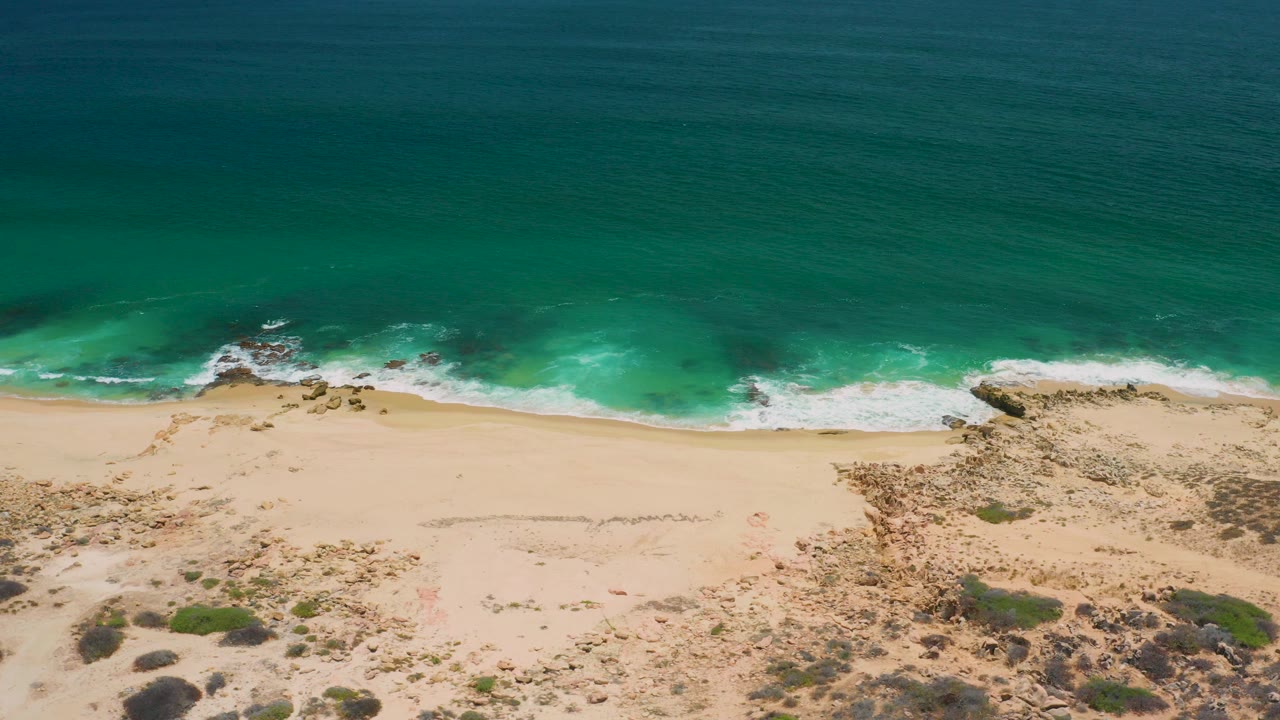 Aerial view of green ocean surf reaching a sandy beach with scrub inland.