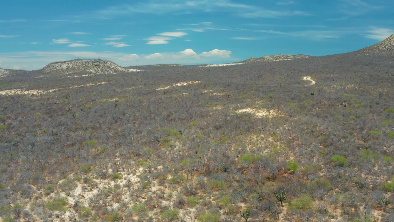 Wide aerial view of dry foliage and sandy tracks below mountains.