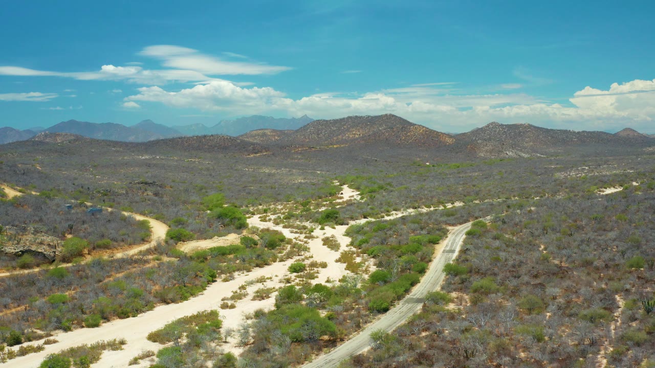 High aerial composition in San Jose del Cabo, Mexico, showing the dry wash widening through foreground scrub while the road curves along the hillside, with no visible people.
