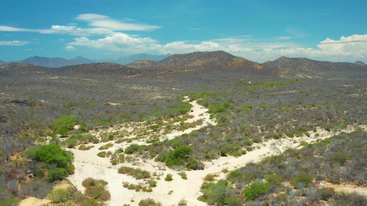Aerial frame in San Jose del Cabo, Mexico, where a bright sand corridor runs through scattered shrubs toward rounded hills, with no visible people.