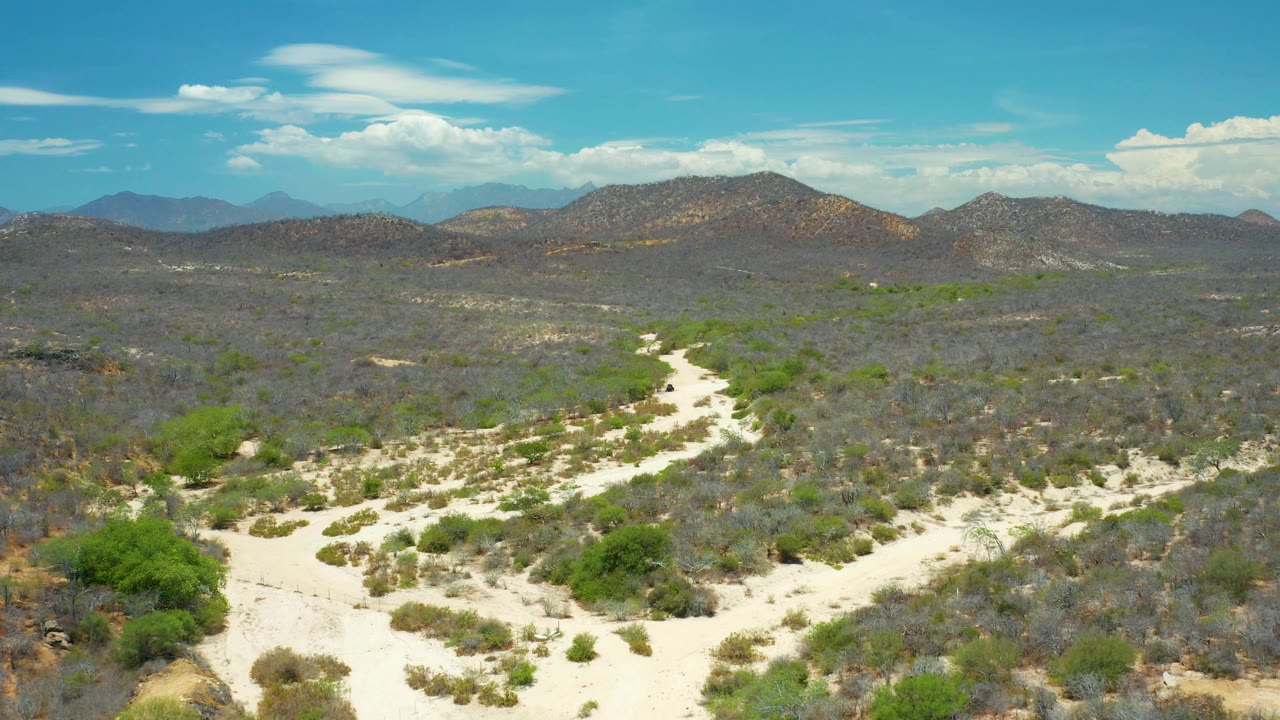 High aerial view over dry brush and pale sand channels with mountains across the background.