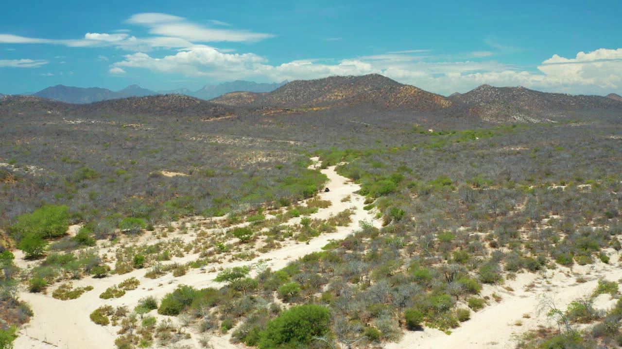Wide aerial frame from San Jose Del Cabo showing pale sand paths cutting through green bushes and dry scrub, with low hills and no visible people.