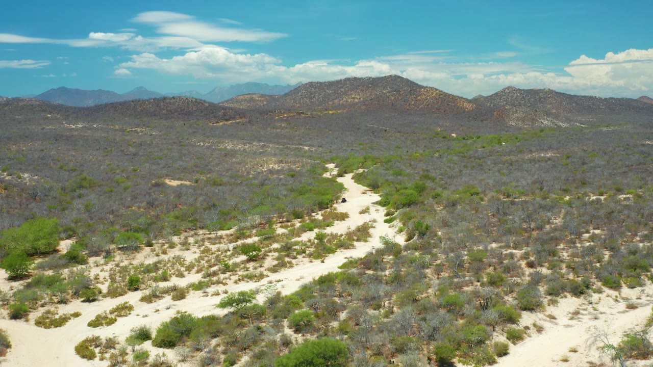 San Jose Del Cabo aerial view with a sandy wash running toward the center, scattered green vegetation, gray scrub, hazy blue mountains, and no visible people.