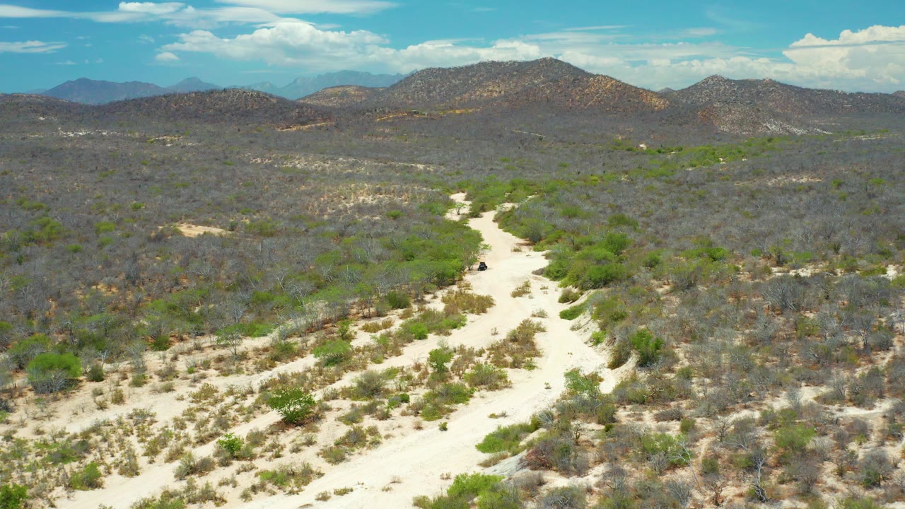 A high aerial frame over San Jose Del Cabo, Mexico shows pale sandy tracks splitting through green and gray scrub woodland, with low hills and blue sky beyond, no visible people.