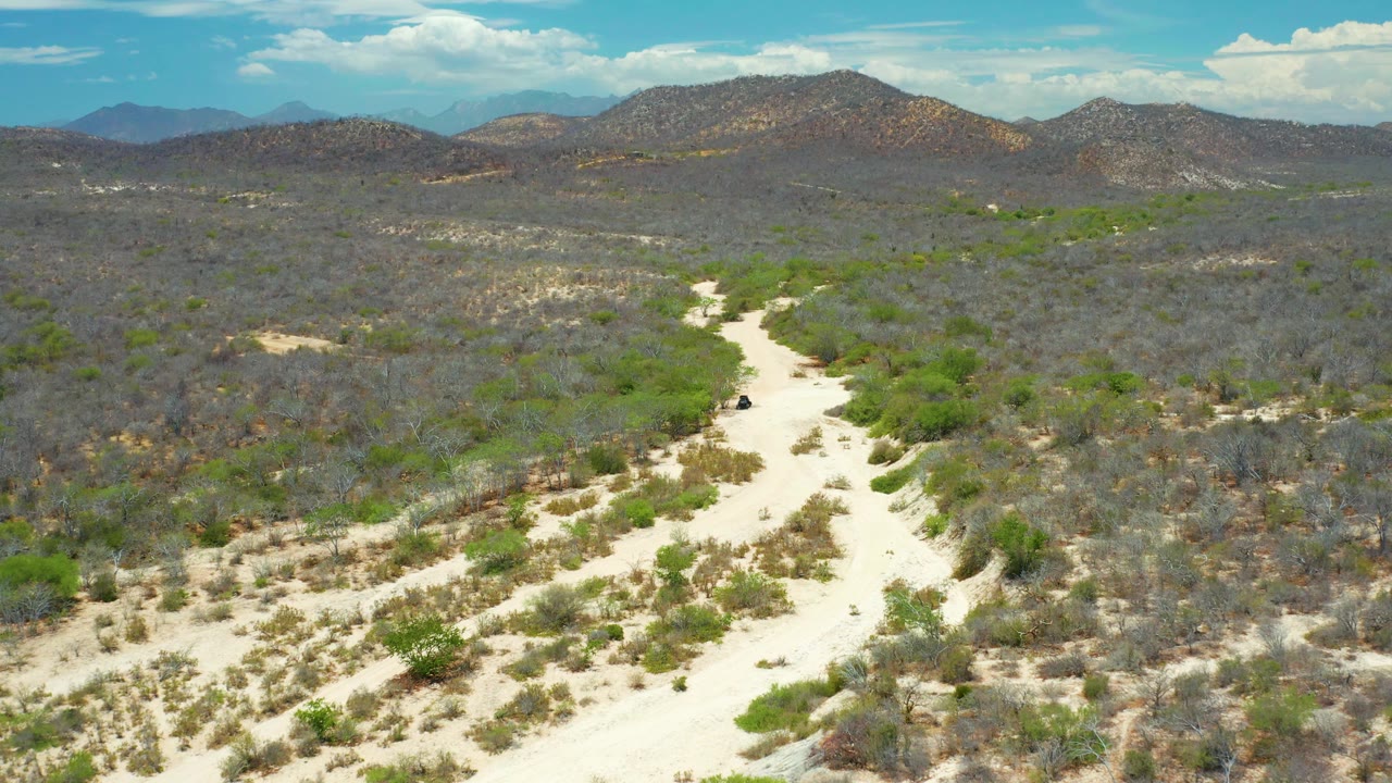 An aerial frame over San Jose Del Cabo, Mexico shows branching sandy tracks across dry woodland, greener vegetation along the wash, and a low mountain ridge under scattered clouds, no visible people.