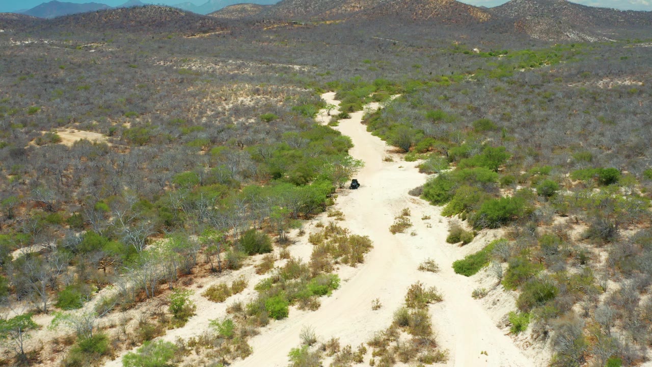 Aerial view in San Jose del Cabo, Mexico, showing the sandy road slightly farther along the wash, with dense green shrubs on the right and no visible people.