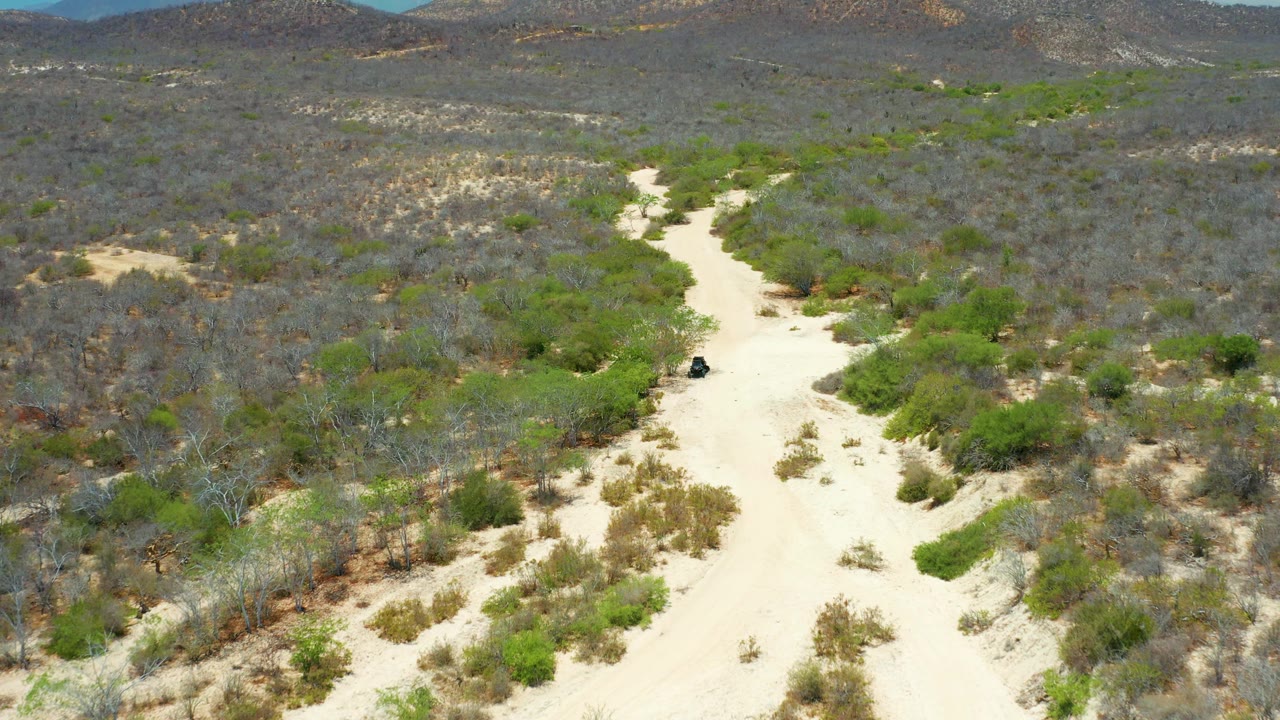 Wide drone frame over San Jose del Cabo desert terrain, with the pale road bending through mixed green and gray brush toward low hills and no visible people.