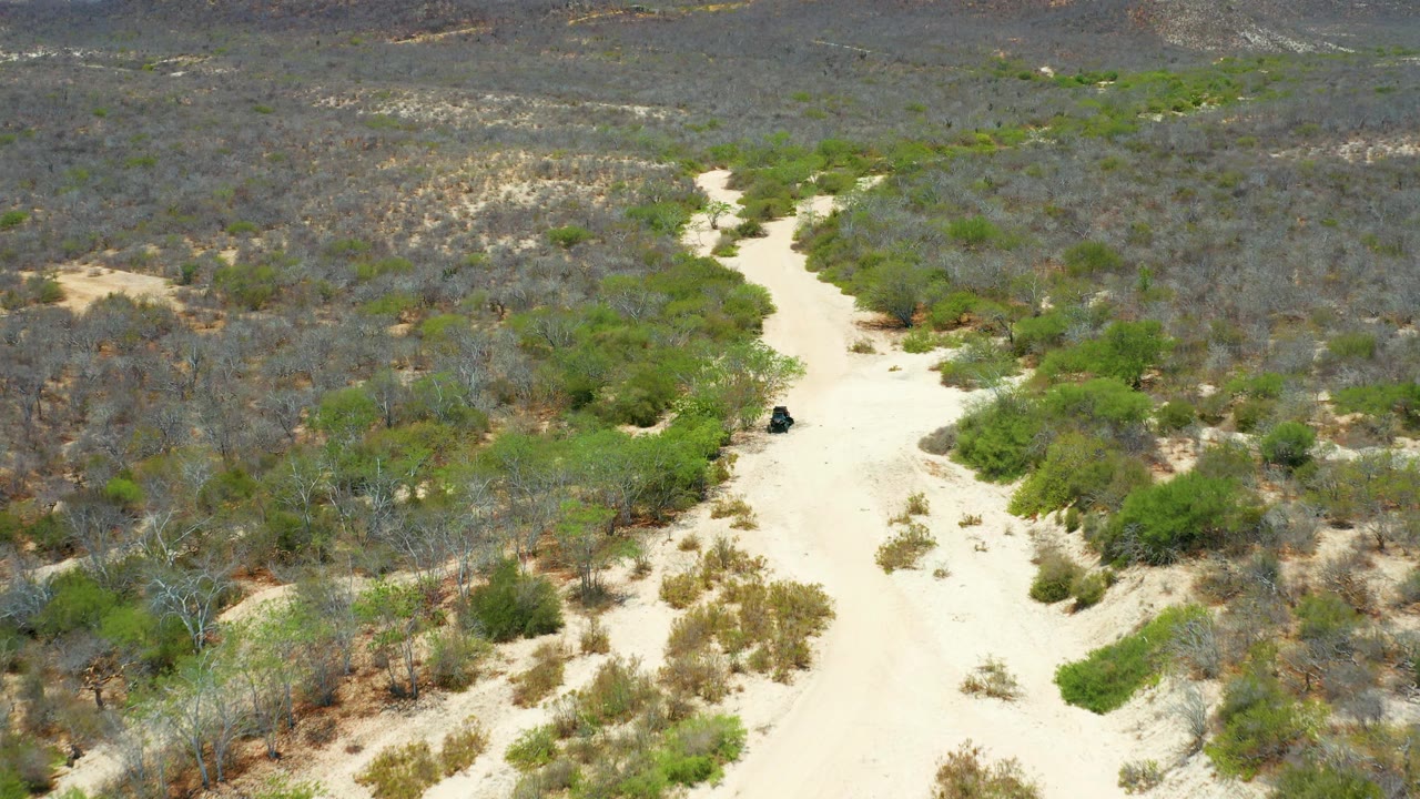 Drone view in San Jose del Cabo, Mexico, with a small dark vehicle on the pale dirt road, dry scrub on both sides, and no visible people.