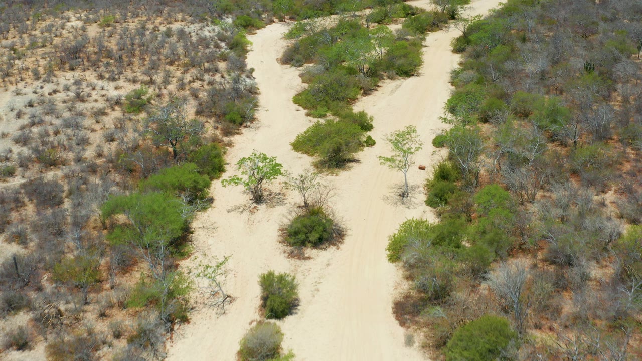 High aerial view in San Jose Del Cabo, Mexico, showing a pale sandy wash bordered by green shrubs, gray brush, and dry grass with no visible people.