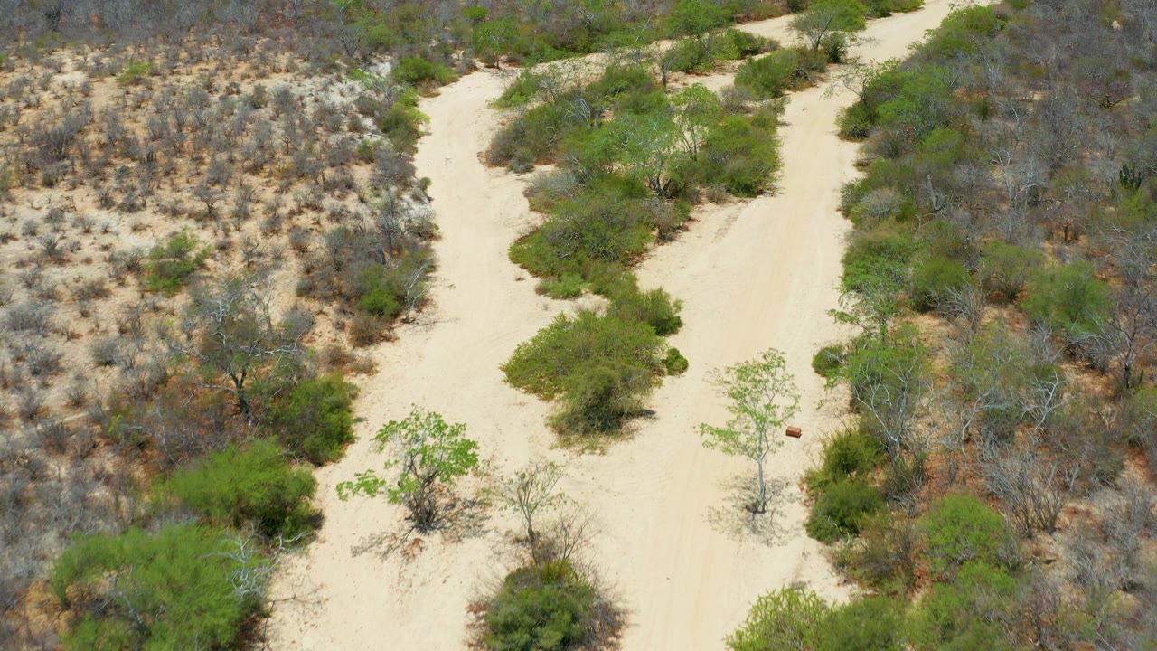 Aerial frame in San Jose Del Cabo, Mexico, with the sandy wash slightly left of center and mixed green and gray desert vegetation filling both sides, with no visible people.