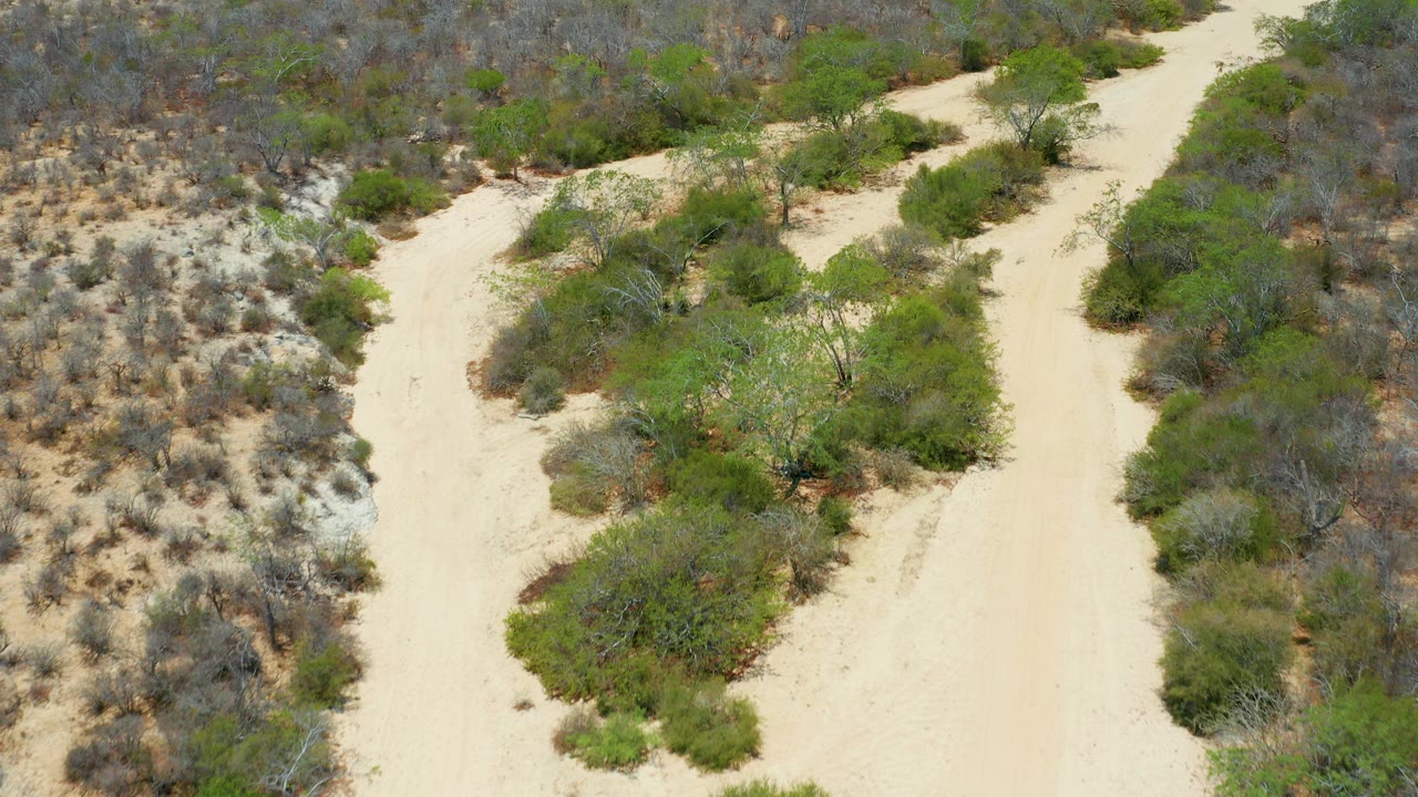 Elevated frame from San Jose Del Cabo, Mexico showing a pale sandy trail splitting through dry brush and green shrubs, with no visible people.