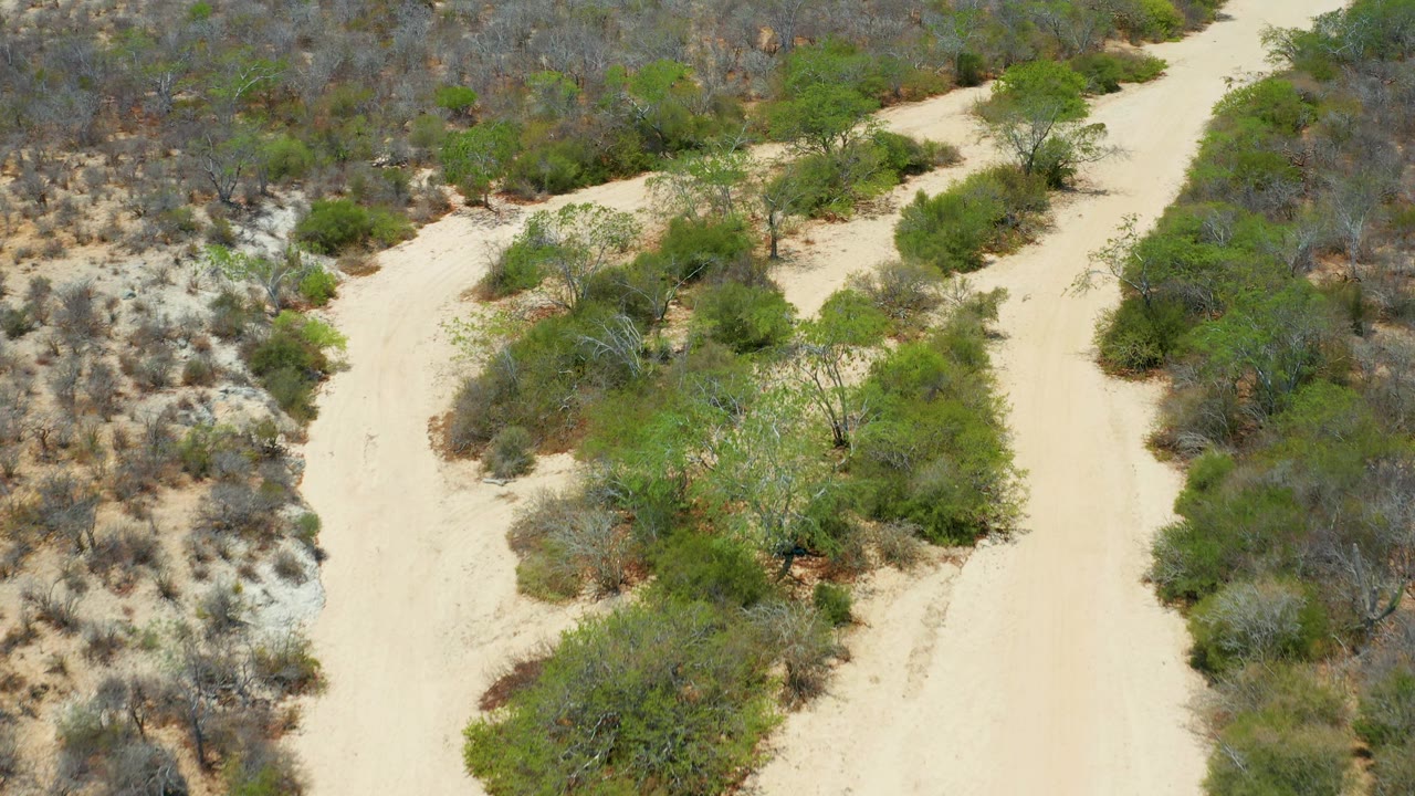 The San Jose Del Cabo frame shows a pale sand track curving through dense green brush and dry scrubland, with no visible people or vehicles.