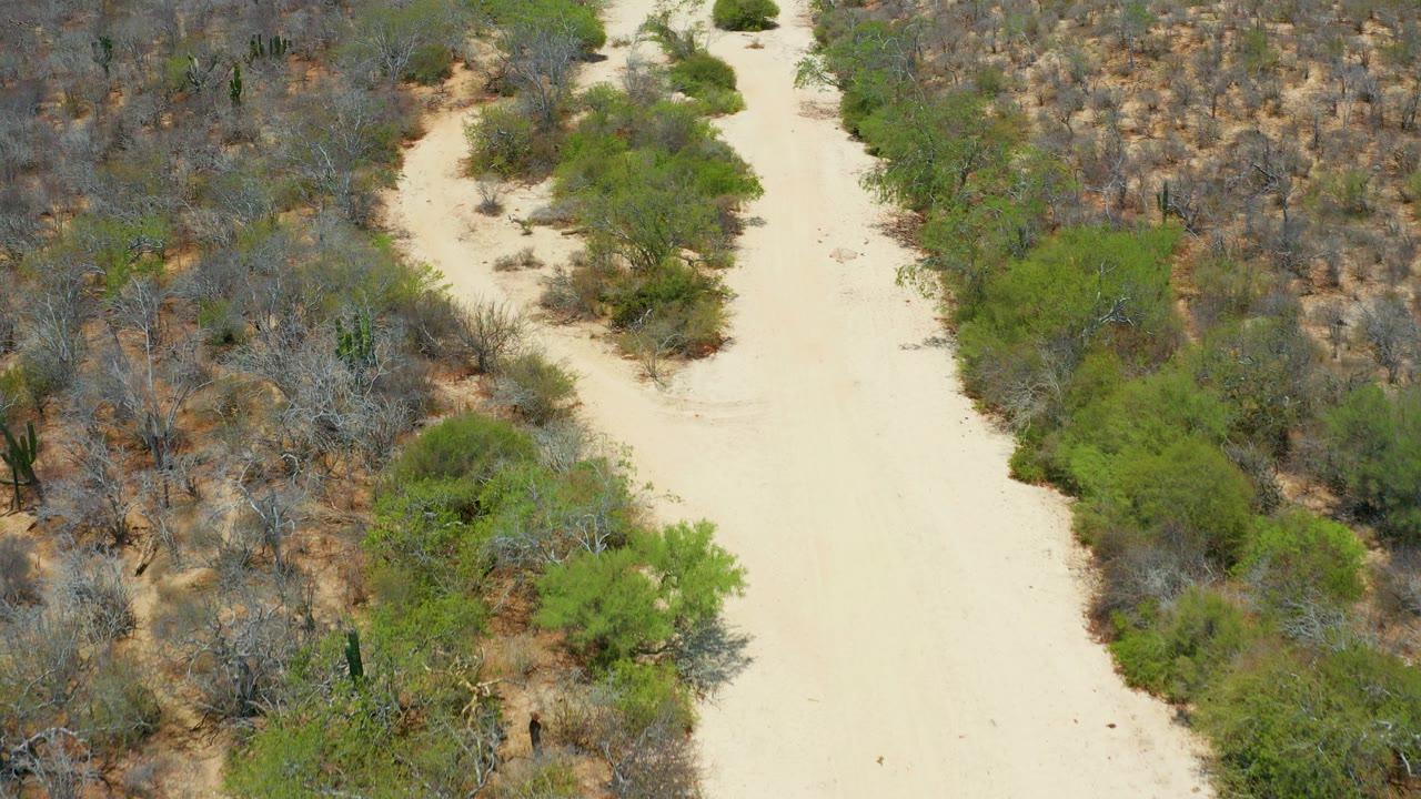 Aerial view of a pale sandy track through dry scrub and green shrubs.