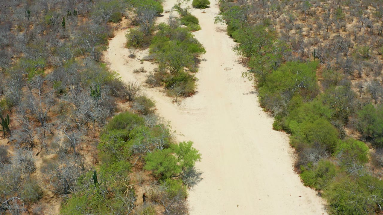 A slightly later aerial view in San Jose Del Cabo shows the sandy wash centered more clearly between dense green bushes and dry gray vegetation, with no visible people.