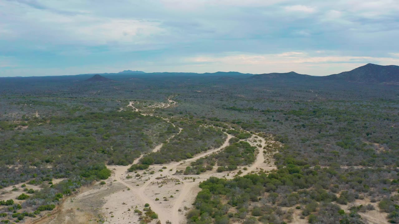 A high aerial frame over Laguna Beach, Baja California Sur shows a pale sandy road curving through low scrub and trees toward dark hills under cloud cover, with no visible people.