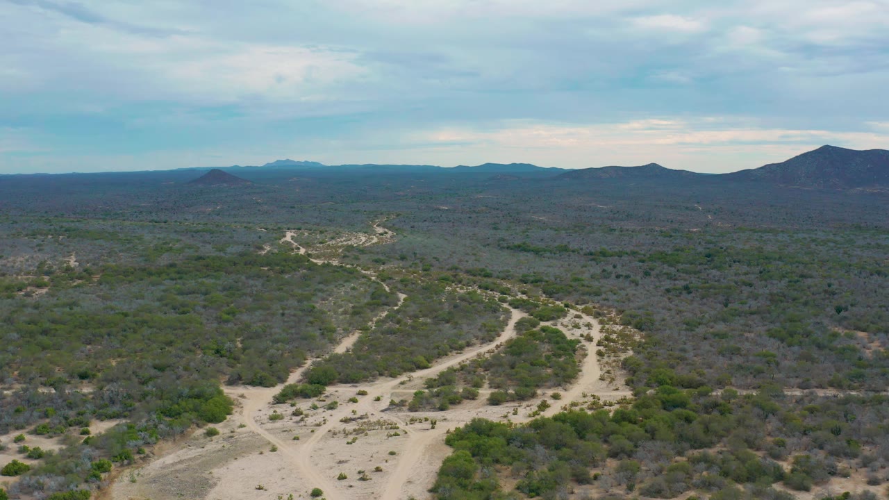 Wide drone-like view in Laguna Beach, Baja California Sur, Mexico, showing branching sandy tracks in the foreground, dense low bushes across the plain, and a dark ridge line below a pale cloud deck, no visible people.