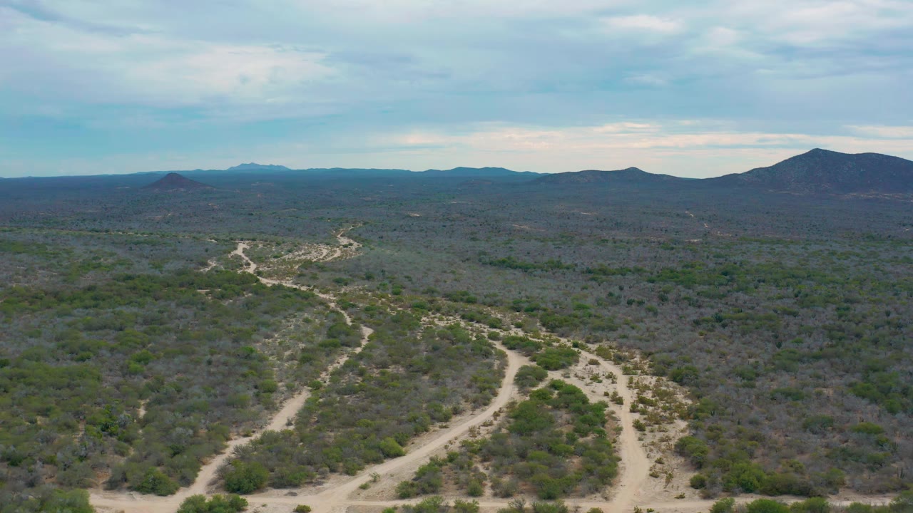 Wide aerial frame over Laguna Beach, Baja California Sur, showing branching pale dirt paths through green-gray brush, distant low ridges, a darker mountain to the right, and no visible people.