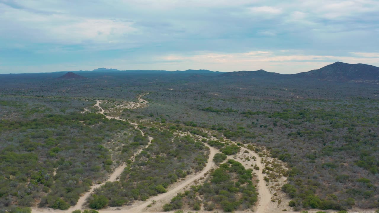 Elevated view across Laguna Beach, Baja California Sur vegetation, with the winding sandy wash crossing the lower frame, dark brush fields in the midground, distant mountains, and no visible people.