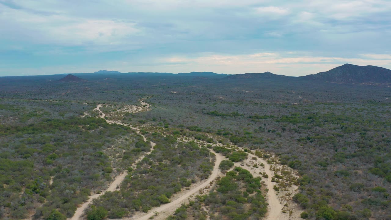 Aerial frame from Laguna Beach, Baja California Sur, with sandy tracks entering from the lower edge, broad scrubland across the center, low mountains in the distance, and no visible people.