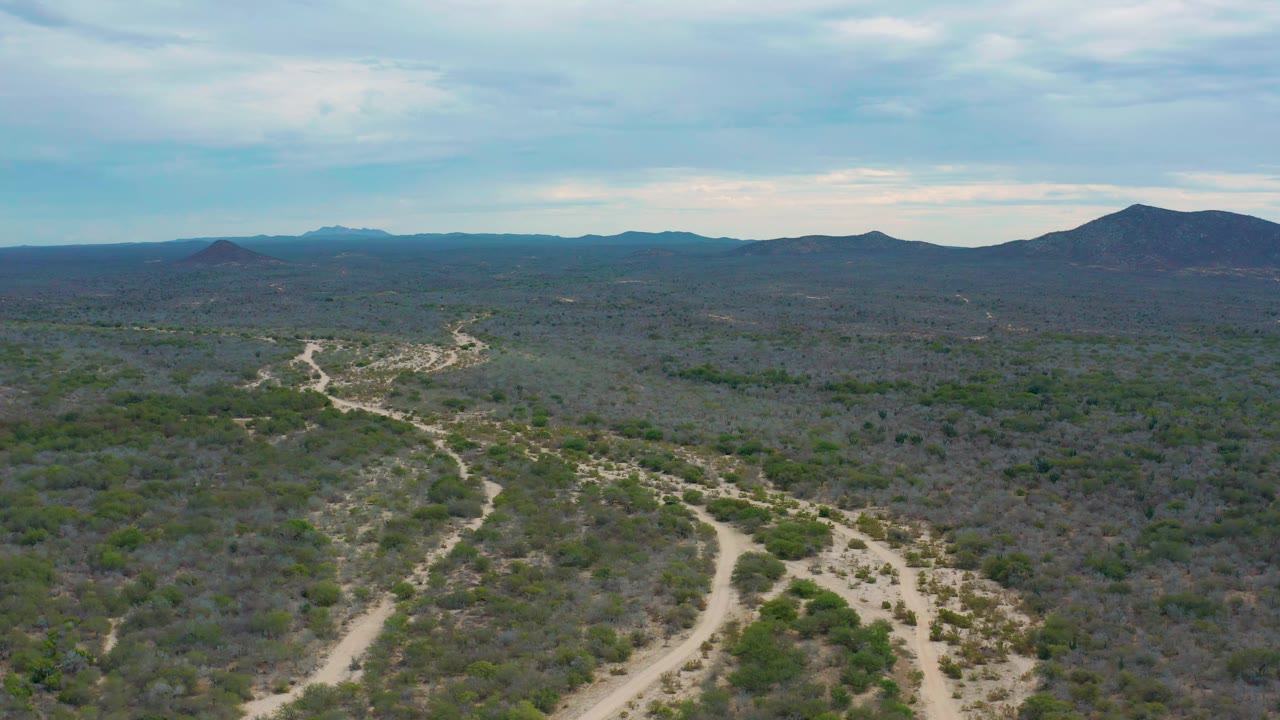 High aerial frame over Laguna Beach, Baja California Sur showing gray green brush, a branching sandy arroyo through the midground, a small conical hill at left, and no visible people.