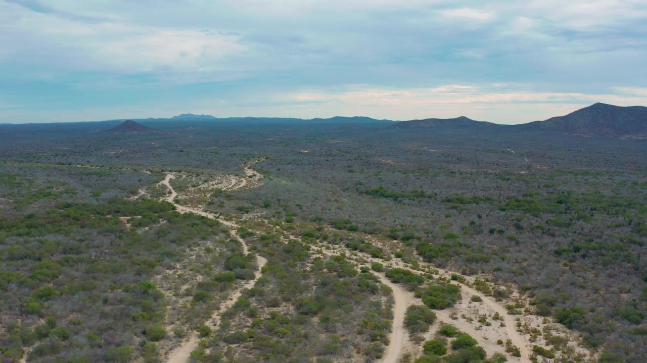 Aerial view of sandy desert tracks crossing shrubland toward mountains