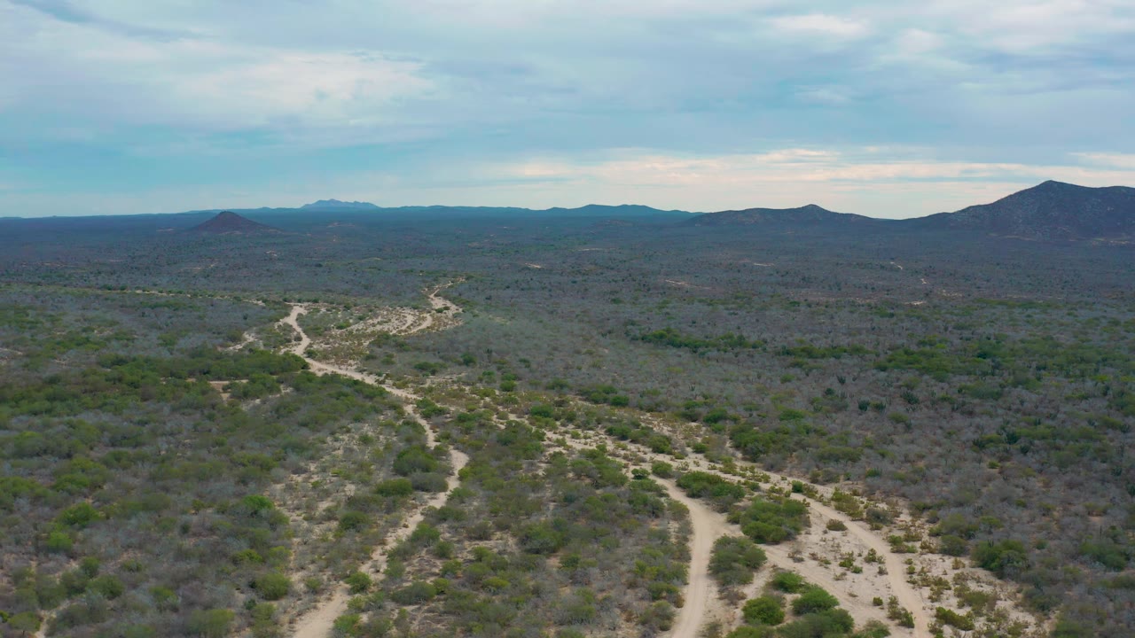 Laguna Beach BCS aerial view with a brighter sandy track centered in the scrubland, low green-brown vegetation, distant ridges, and no visible people.