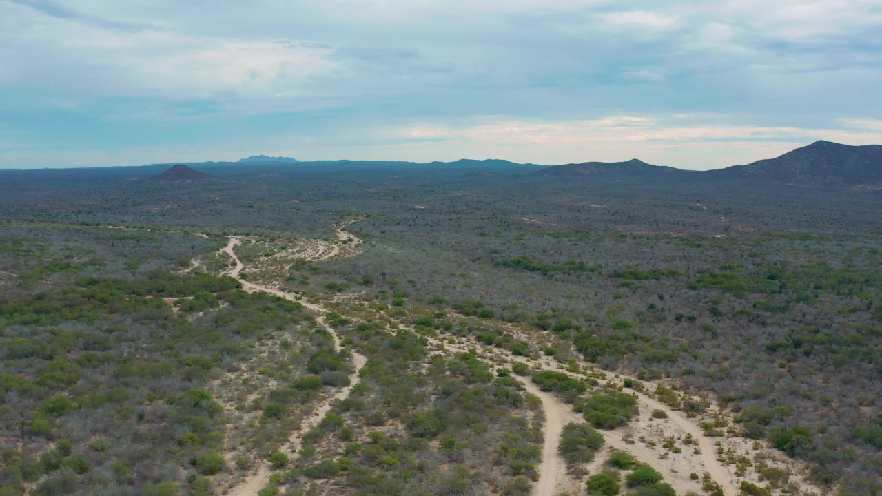 Aerial frame over Baja California Sur scrubland showing a winding pale wash through dense low brush, a broad mountain skyline, and no visible people.