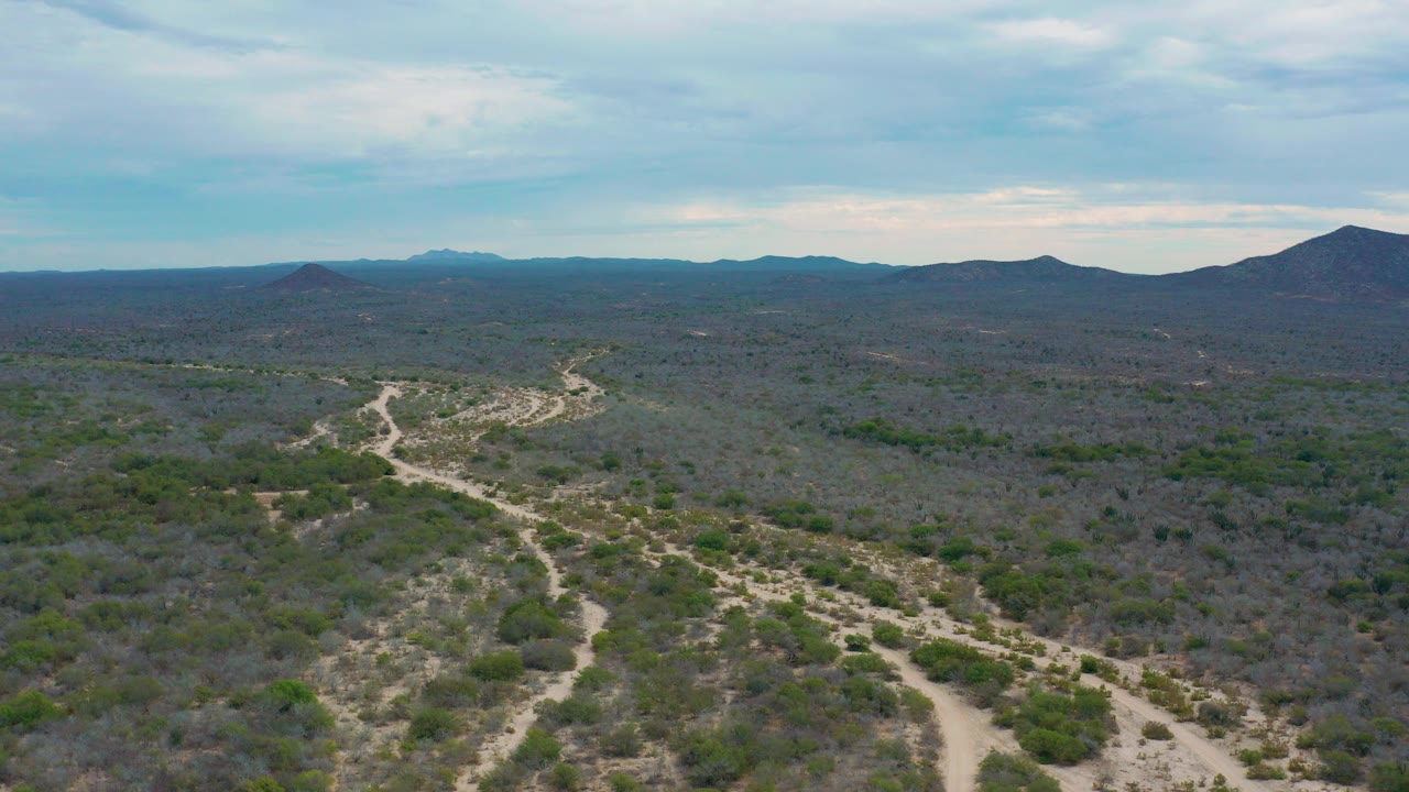 Wide aerial view near Laguna Beach, Baja California Sur, showing branching dirt tracks through green-gray scrubland, distant hills on the horizon, and no visible people.