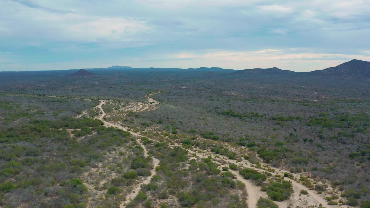 High aerial view over dry brush with winding dirt roads and low mountains in the distance.