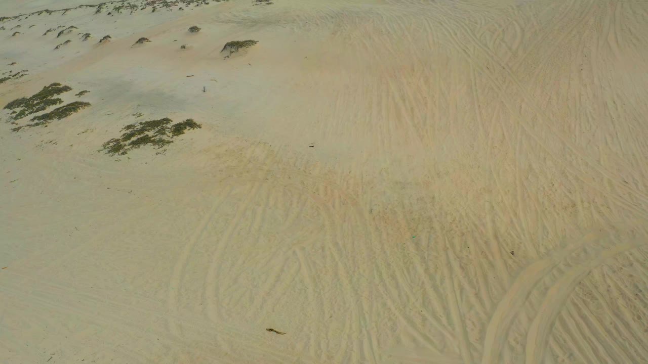 Overhead aerial frame of pale sandy terrain in Laguna Beach, Baja California Sur, Mexico, with scattered dark scrub, faint tracks, and no visible people.