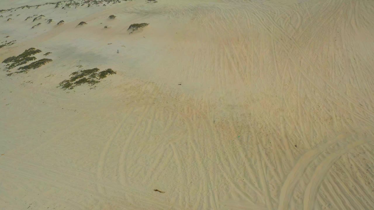 Aerial desert sand with low vegetation clusters near the upper left.