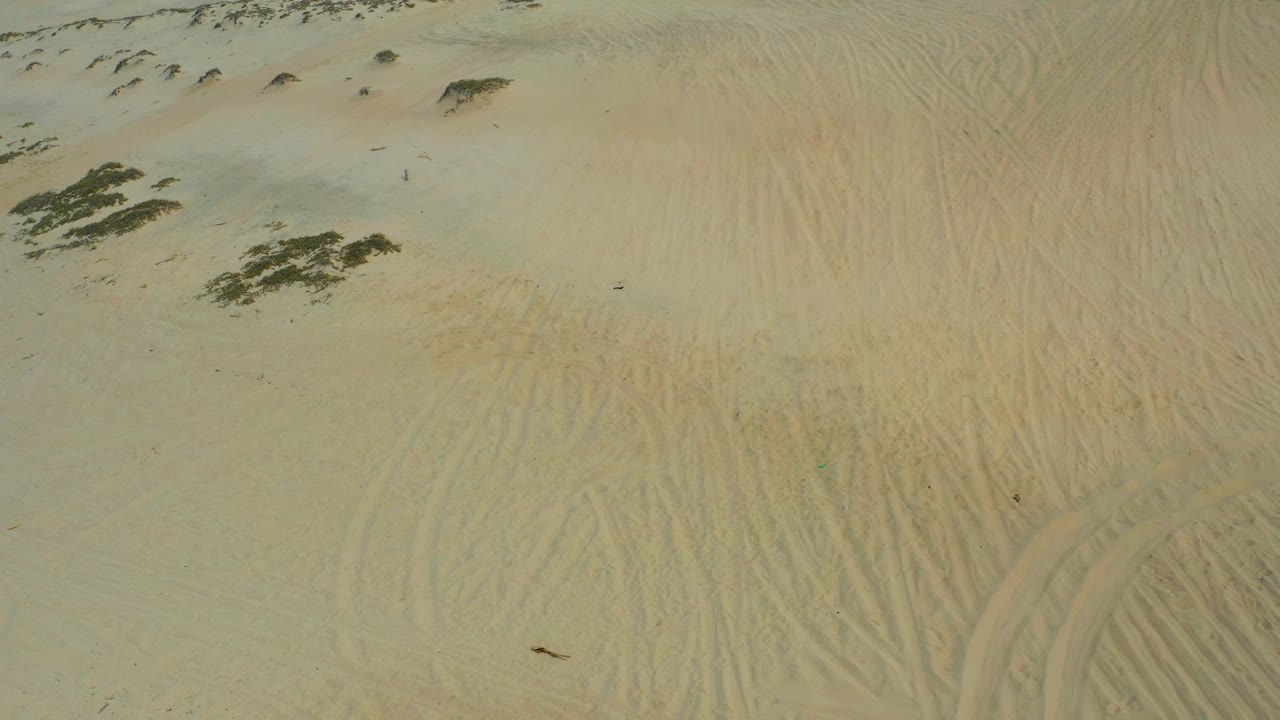 High aerial frame in Laguna Beach, Baja California Sur, Mexico, showing pale sand, thin track marks, scattered low scrub near the top, and no visible people.