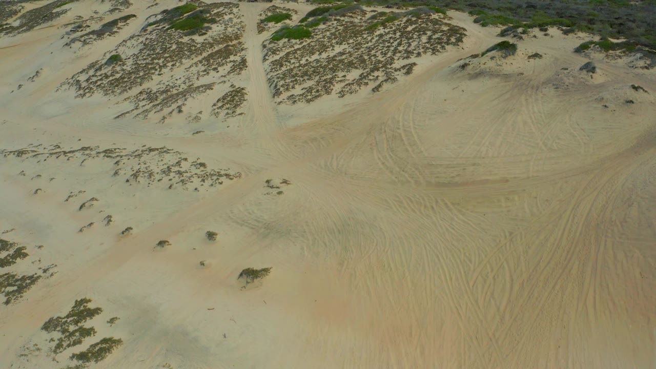 Aerial frame over Laguna Beach, Baja California Sur where pale sand rises toward a darker scrub-covered upper edge, with faint tracks below and no visible people.