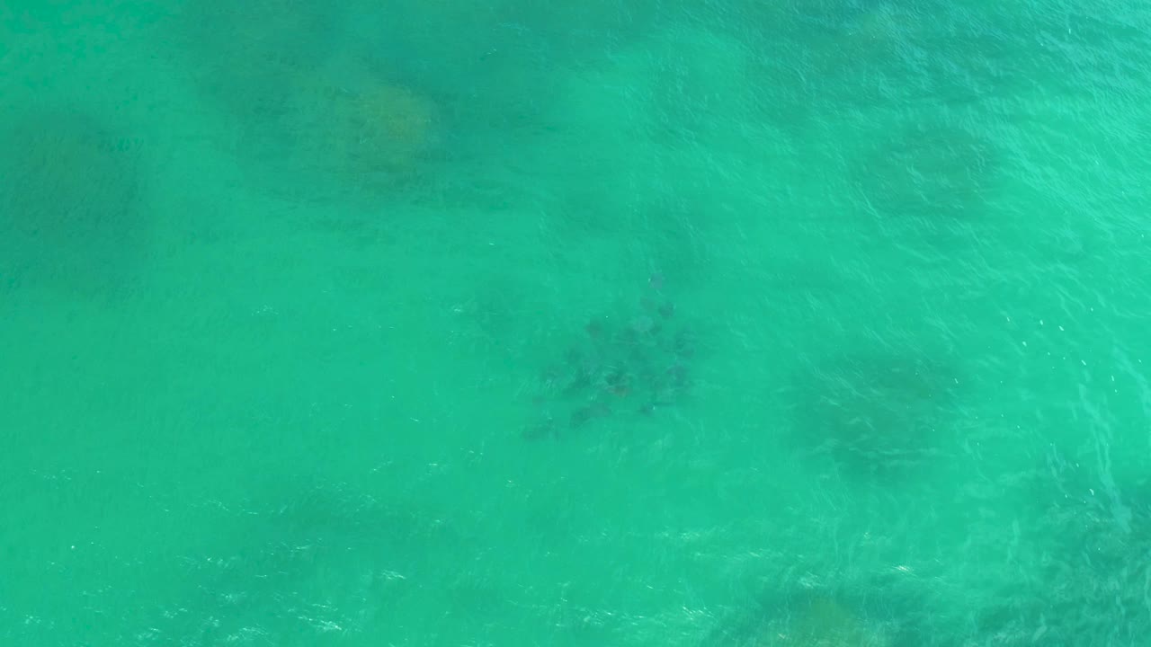 Aerial frame at Laguna Beach, Baja California Sur, showing pale turquoise water with darker seabed shapes and soft wave ripples, with no visible people.