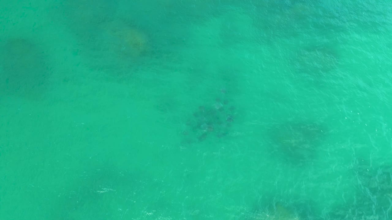 Straight-down view in Laguna Beach, Baja California Sur, where green-blue water reveals scattered dark rocky patches beneath a lightly rippled surface and no visible people.