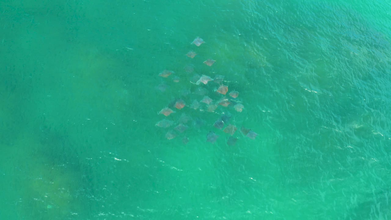 Top-down turquoise water with submerged rocks.
