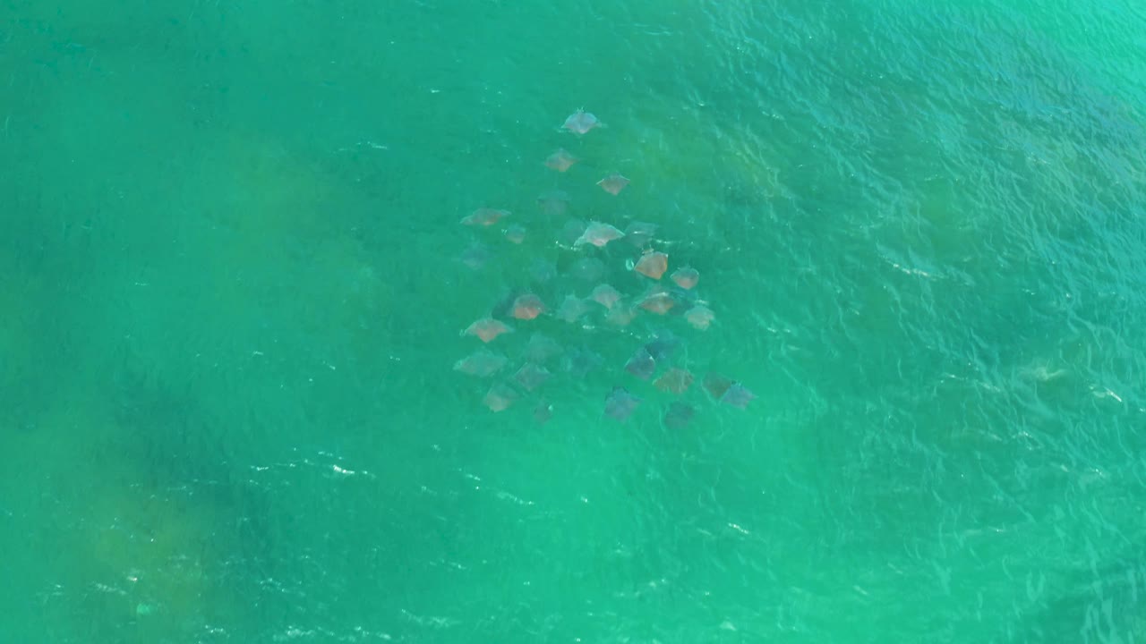 Overhead frame of Laguna Beach water with submerged rocks slightly left of center, pale ripples, and no visible people.