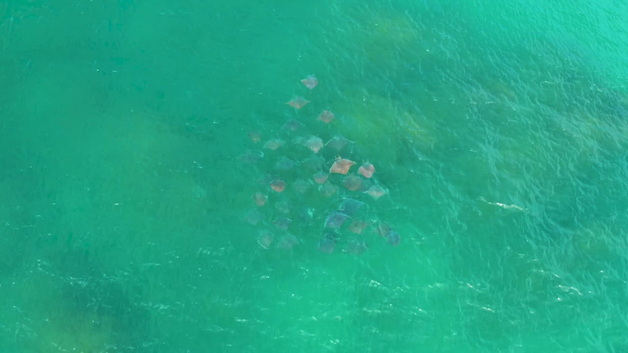 Aerial view over Laguna Beach, Baja California Sur, where a tight group of underwater rocks sits near the upper right in bright turquoise sea with no visible people.